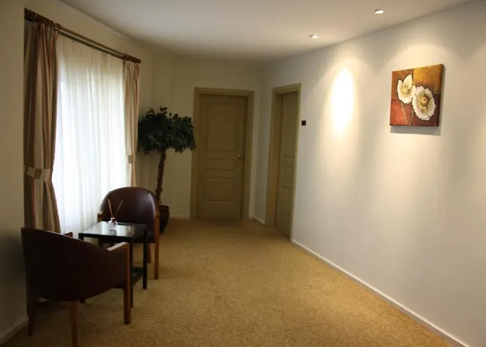 ホテル Yeni Truva *