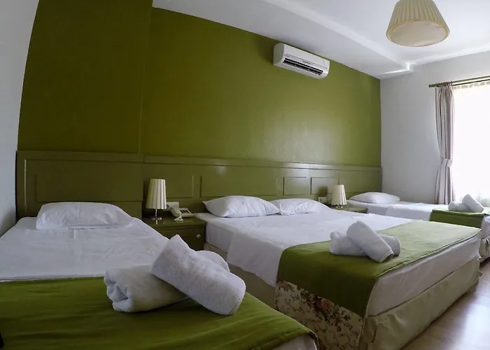 Yeni Truva ホテル チャナッカレ