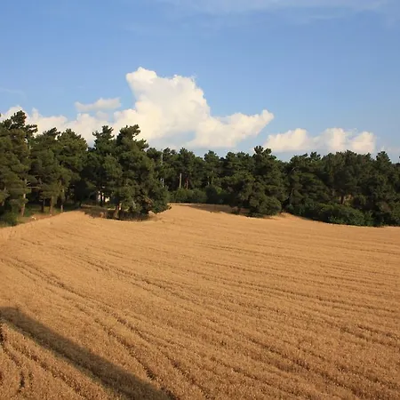Yeni Truva Hotel Canakkale