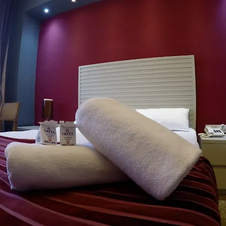 Hotel Yeni Truva *